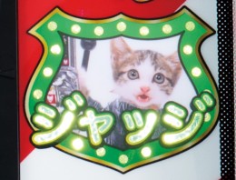 なめ猫 マッチ Amazon.co.jp: なめ猫 サングラス キャラクターステッカー 懐かし 80